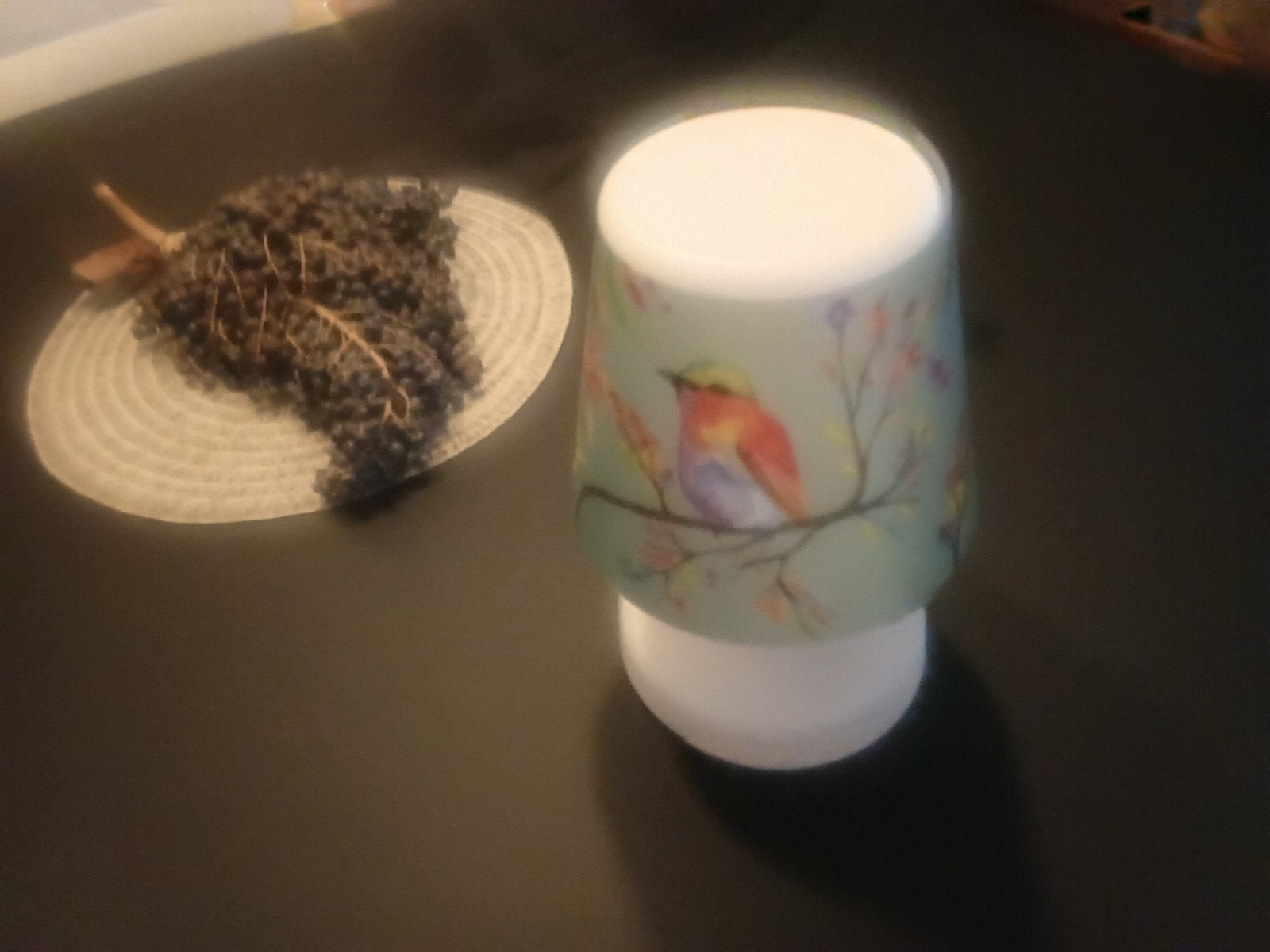 Sfeervolle tafellamp fatboy met vogelprint - Zo goed als nie, Kunststof, Meerkleurig, Overige stijlen, Draadloos