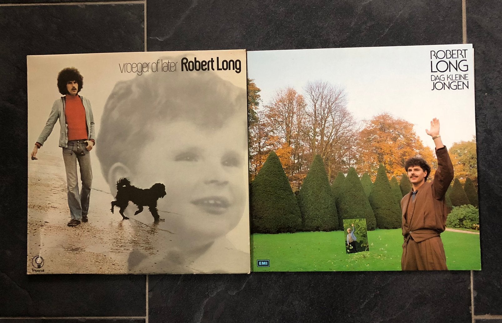 Robert Long 2 lp’s, Ophalen, Gebruikt, 12 inch, Levenslied of Smartlap
