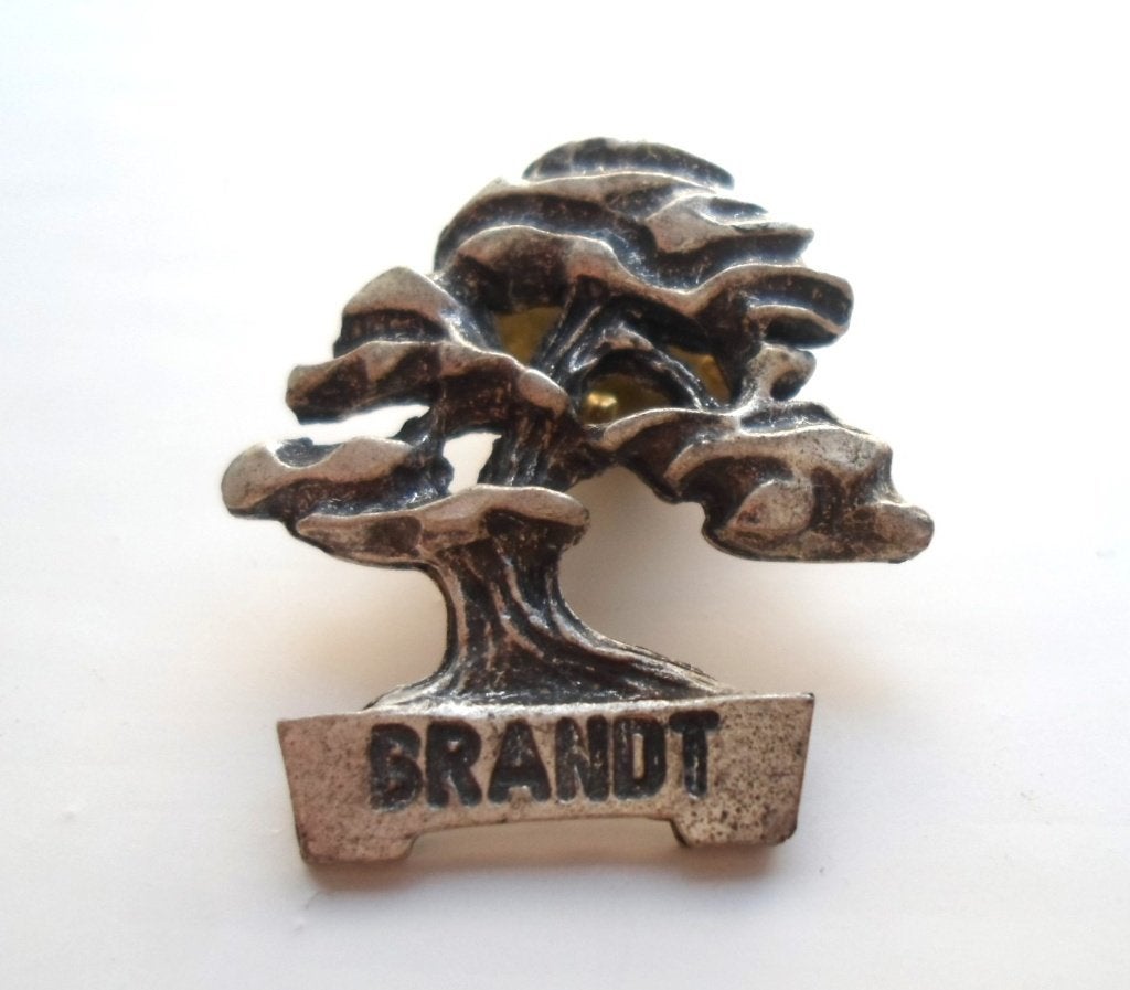 Pin Merk Brandt. Gemerkt 825. Zilver, Ophalen of Verzenden, Zo goed als nieuw, Merk, Speldje of Pin