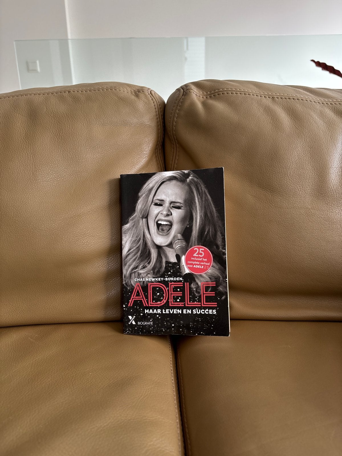 Adele: Haar Leven en Succes - Biografie, Ophalen of Verzenden, Gelezen, Film, Tv en Media