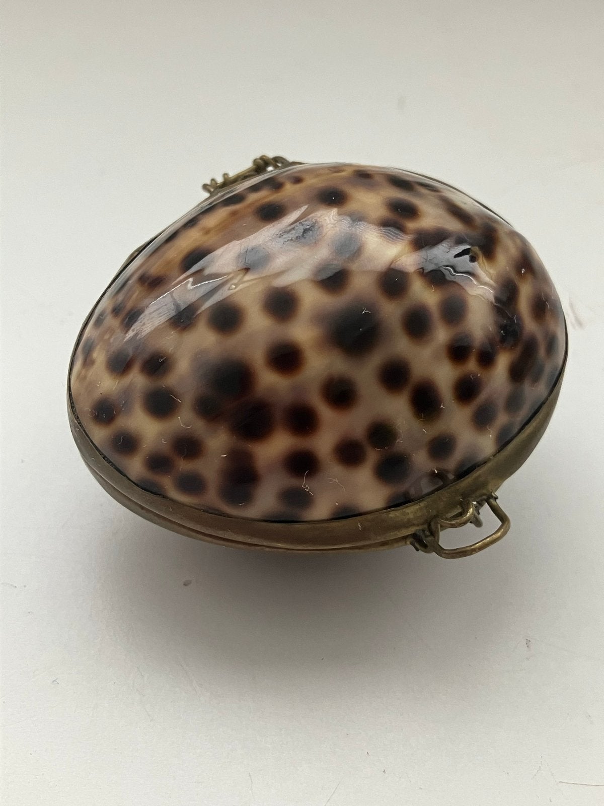Vintage sieraden/pillendoosje van gepolijste kaurischelp, Antiek en Kunst, Ophalen of Verzenden