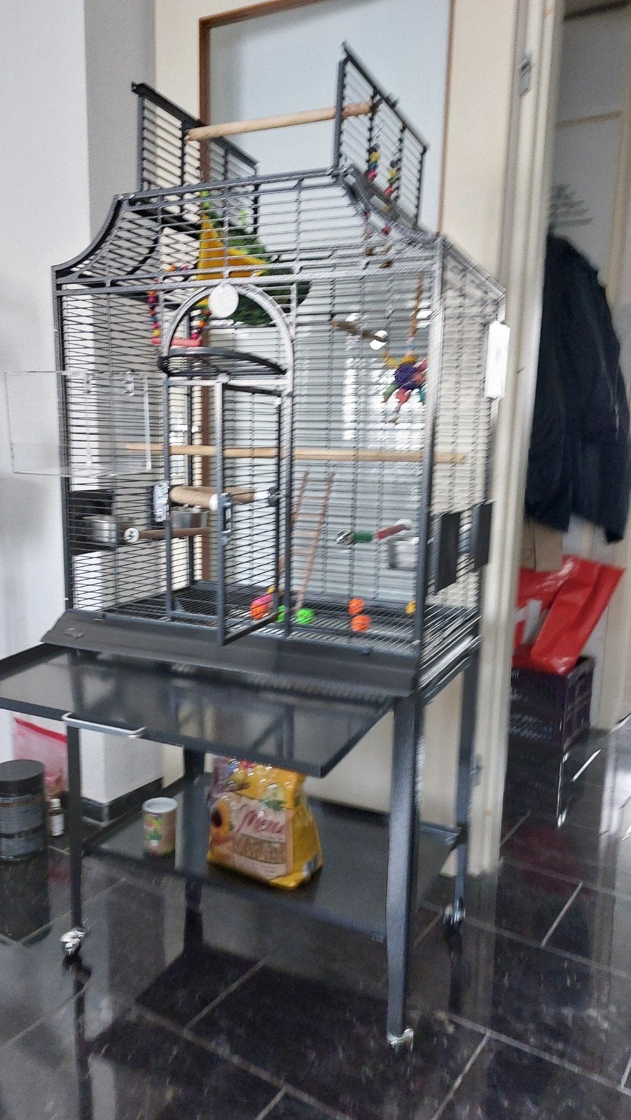 te koop nieuw Montana papegaa kooi, Ophalen, Nieuw, Metaal, Vogelkooi
