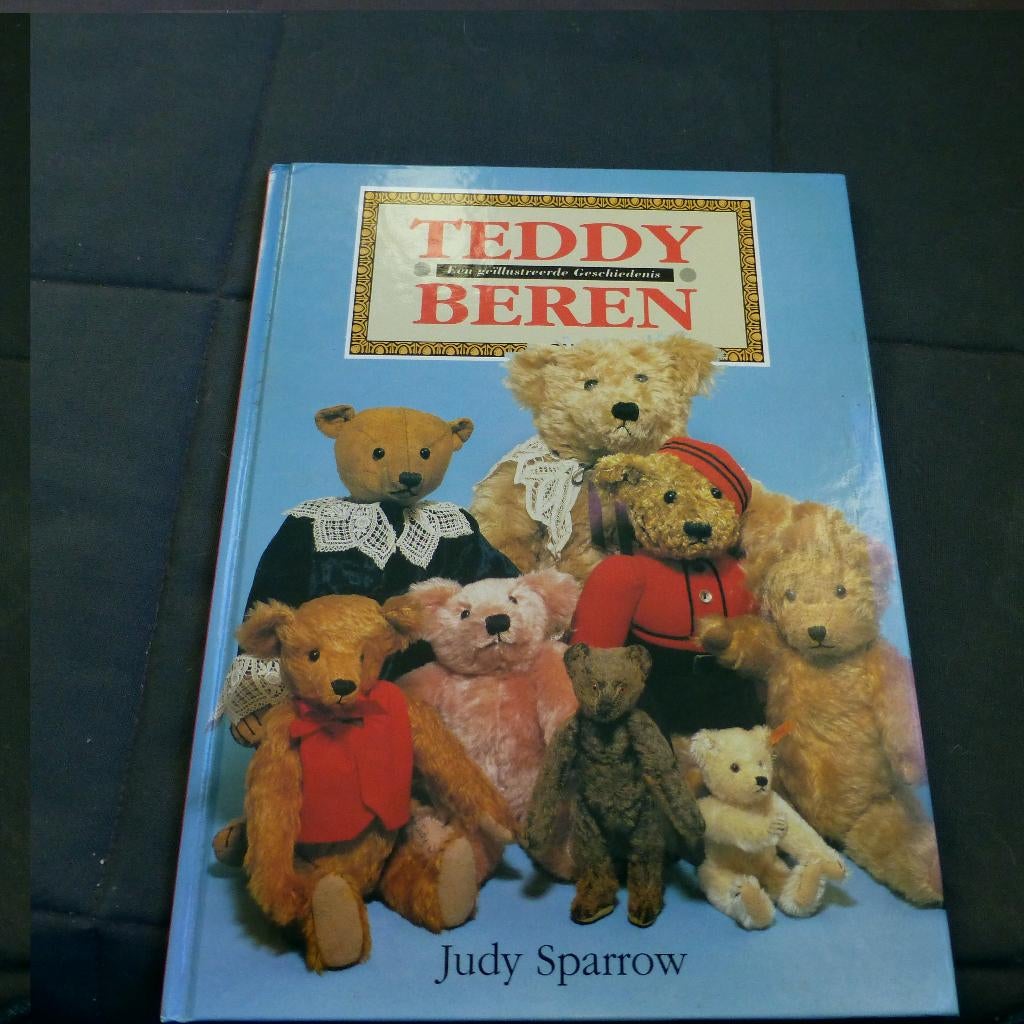 teddy beren boek, Verzamelen, Beren en Cherished Teddies, Ophalen of Verzenden, Zo goed als nieuw, Overige typen, Overige merken