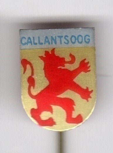 Speldje WAPEN CALLANTSOOG LEEUW (A5), Ophalen of Verzenden, Gebruikt, Overige onderwerpen