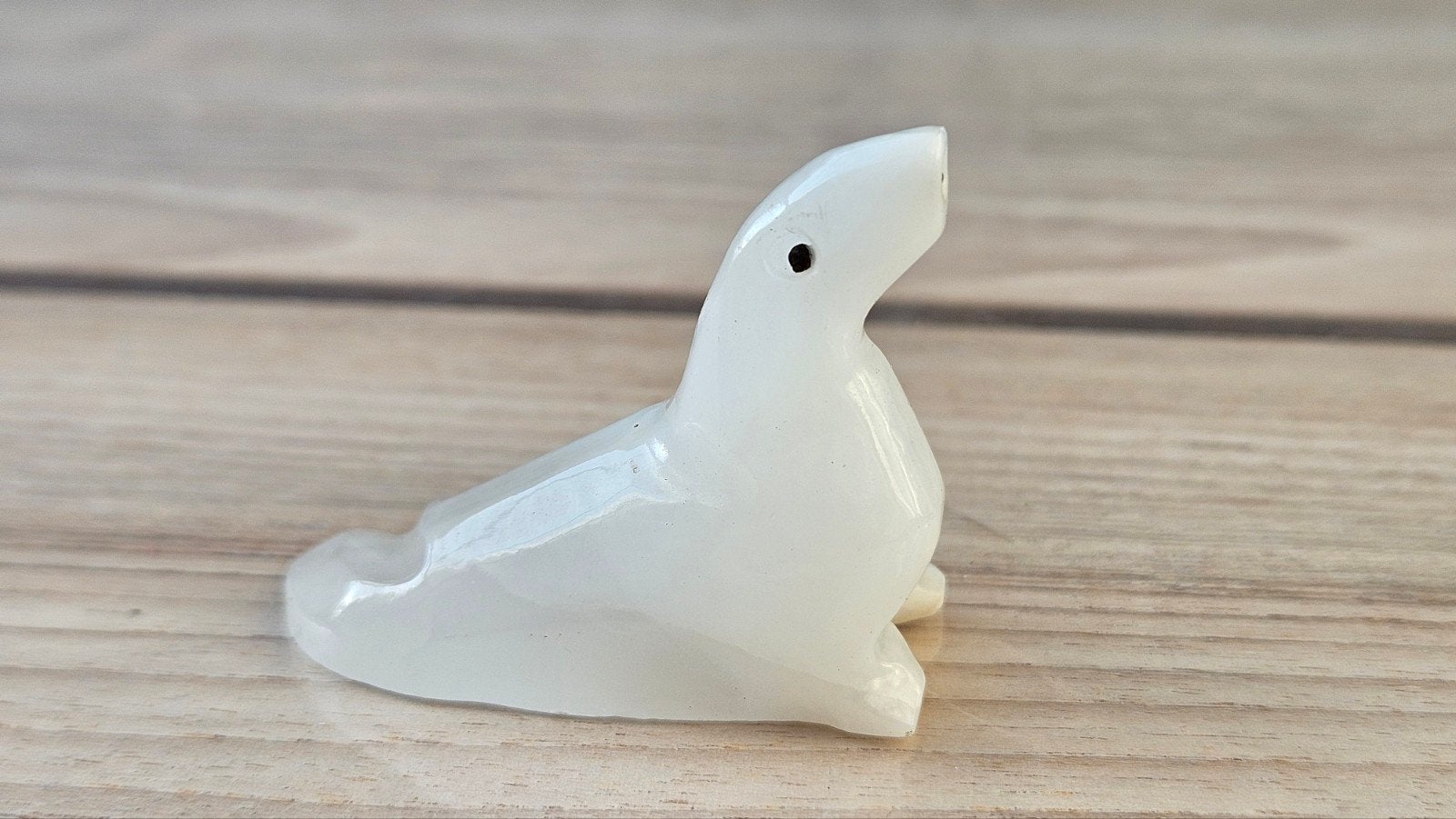 Zeehond, Ophalen of Verzenden, Zo goed als nieuw, Dier