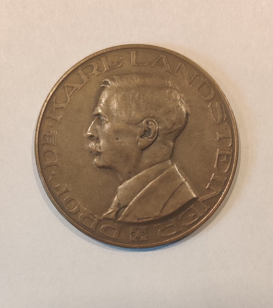 Penning, Ophalen of Verzenden, Brons, Nederland