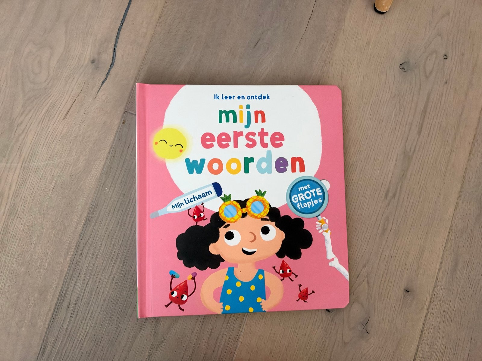 Mijn eerste woorden: Mijn lichaam - flapjesboek, Boeken, Ophalen of Verzenden, Zo goed als nieuw, Uitklap-, Voel- of Ontdekboek