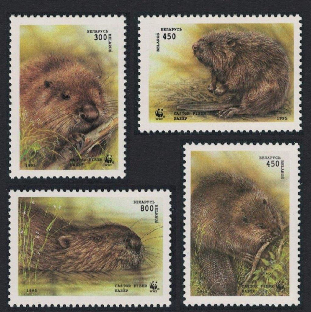 25-05 Wit Rusland MI 96/9 postfris, Verzenden, Postfris