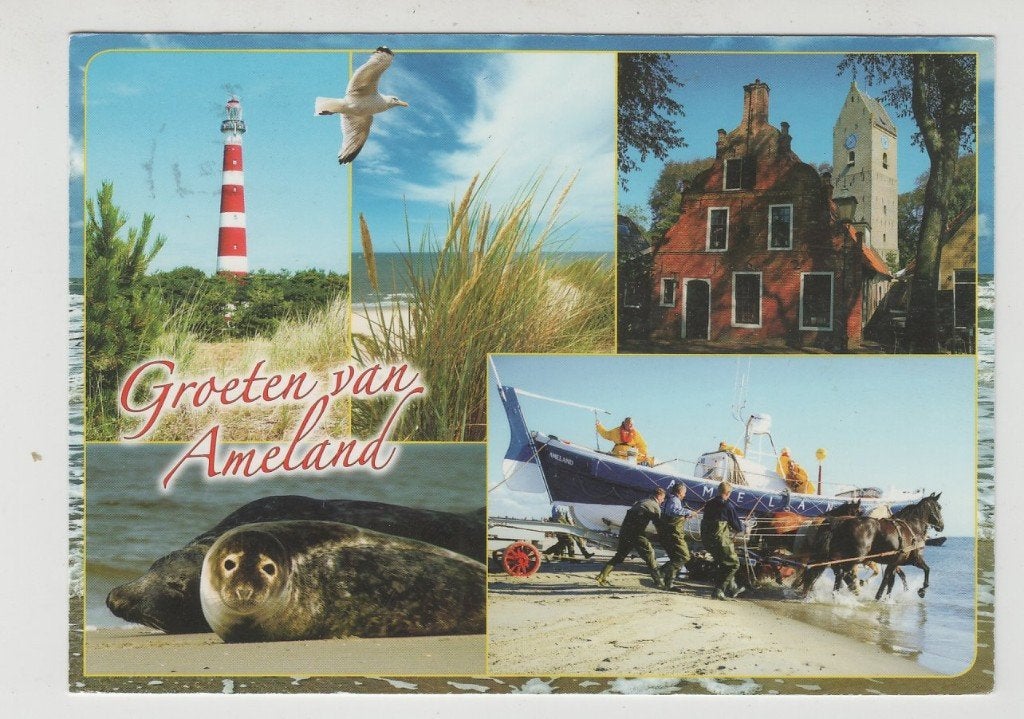 Ameland Groeten Vuurtoren Zeehond Elke plaats in beeld, Ophalen of Verzenden, 1980 tot heden, Gelopen, Waddeneilanden