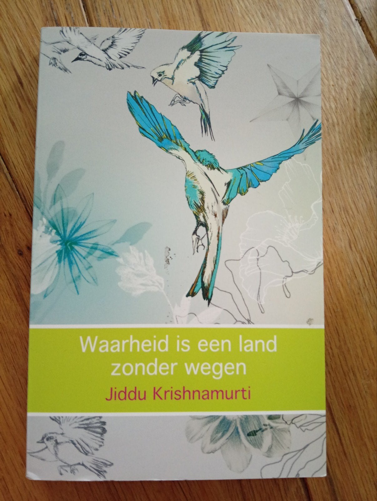 Waarheid is een land zonder wegen - Jiddu Krishnamurti, Boeken, Spiritualiteit algemeen, Ophalen of Verzenden, Zo goed als nieuw