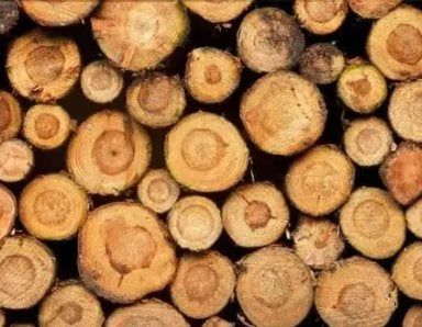 GEZOCHT!! Haardhout brandhout kachelhout stammen haard hout, Minder dan 3 m³, Ophalen, Overige houtsoorten, Stammen