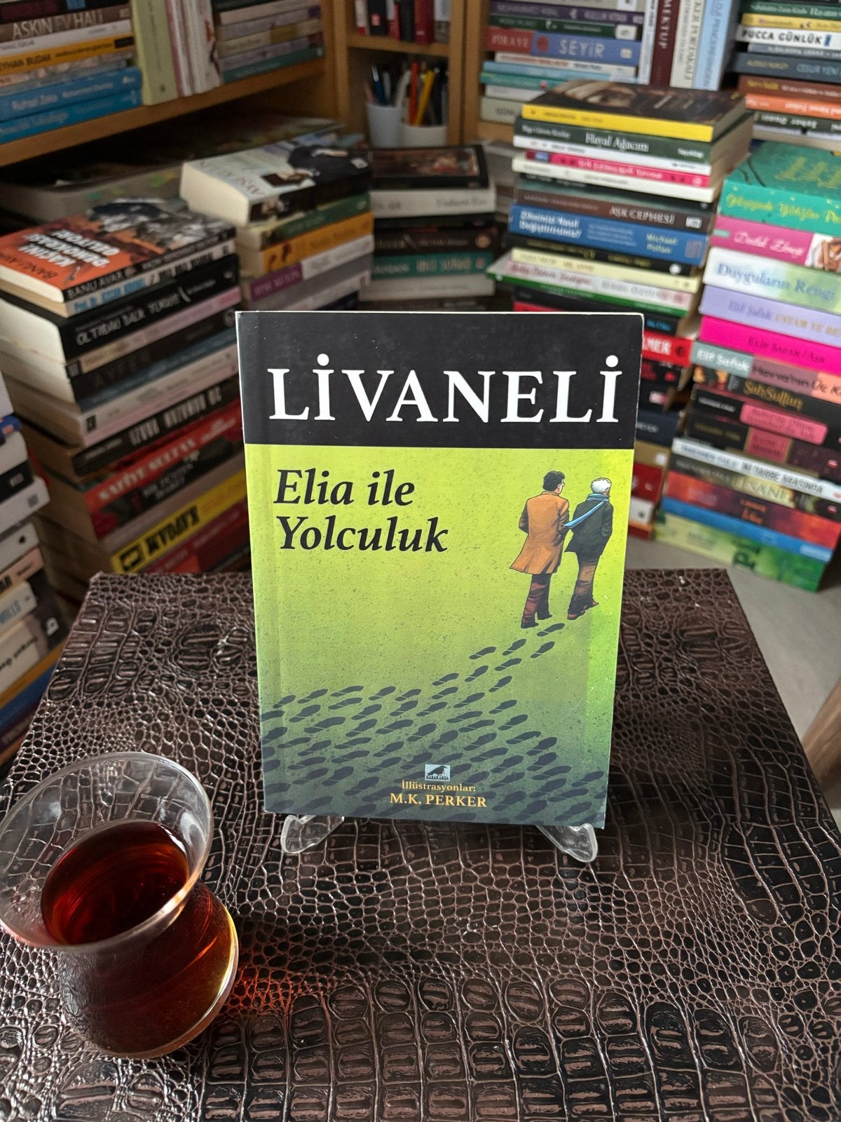 Livaneli - Elia ile Yolculuk (Turks boek), Ophalen of Verzenden, Zo goed als nieuw, Wereld overig