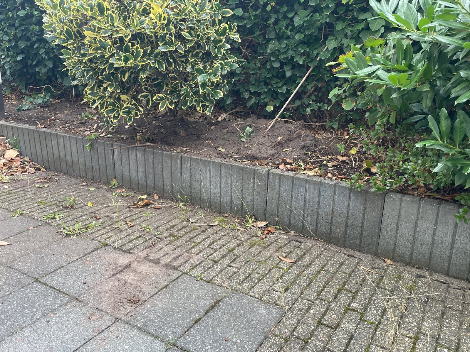Palissadebanden (meer dan 46 stuks), Ophalen, Gebruikt, Border, Beton