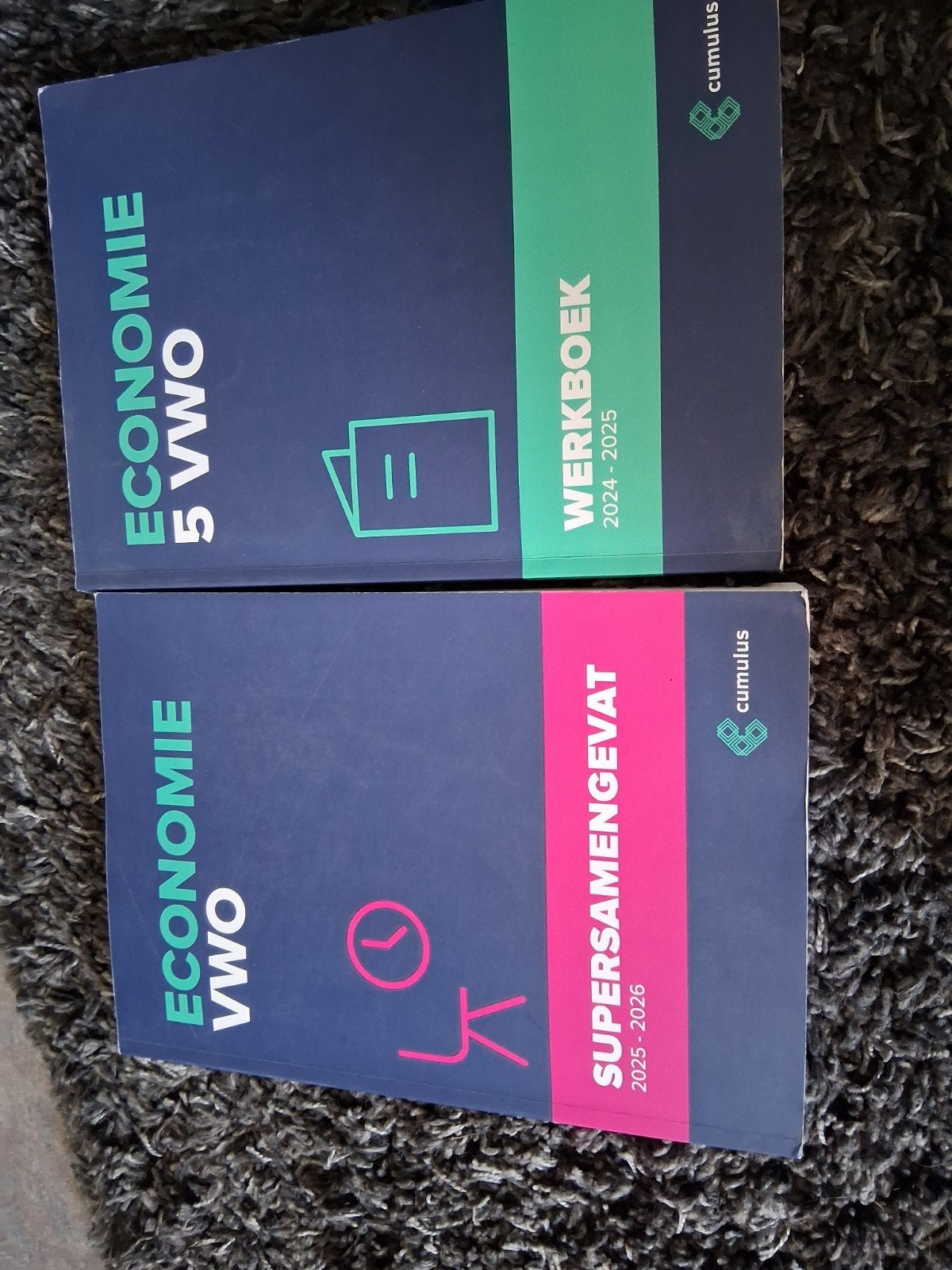 Economie VWO Werkboek 2024-2025 & Supersamengevat 2025-2026, Ophalen of Verzenden, Zo goed als nieuw, VWO, Economie