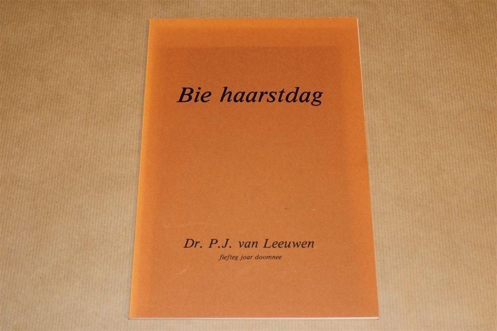Bie Haarstdag — 50 Jaar Doomnee — Preken & Gedichten, Ophalen of Verzenden, Gelezen