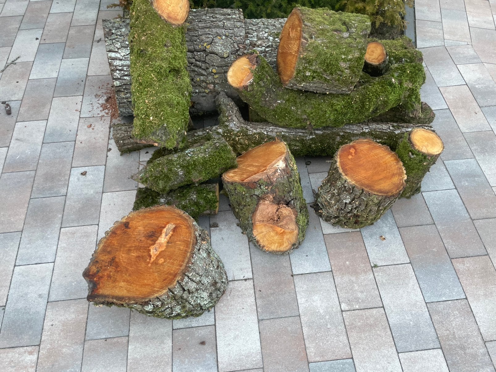 Decoratie hout van oude perenboom, Minder dan 3 m³, Ophalen