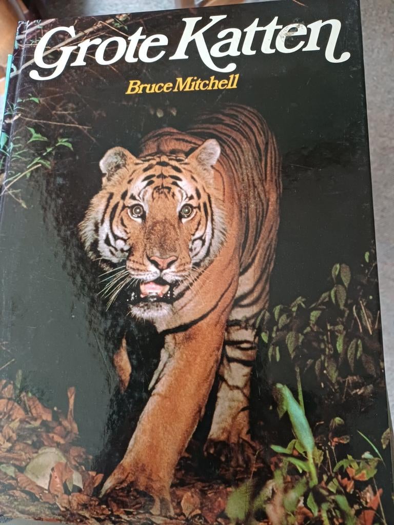 Grote katten, Boeken, Gelezen, Bruce Mitchell, Ophalen of Verzenden, Katten