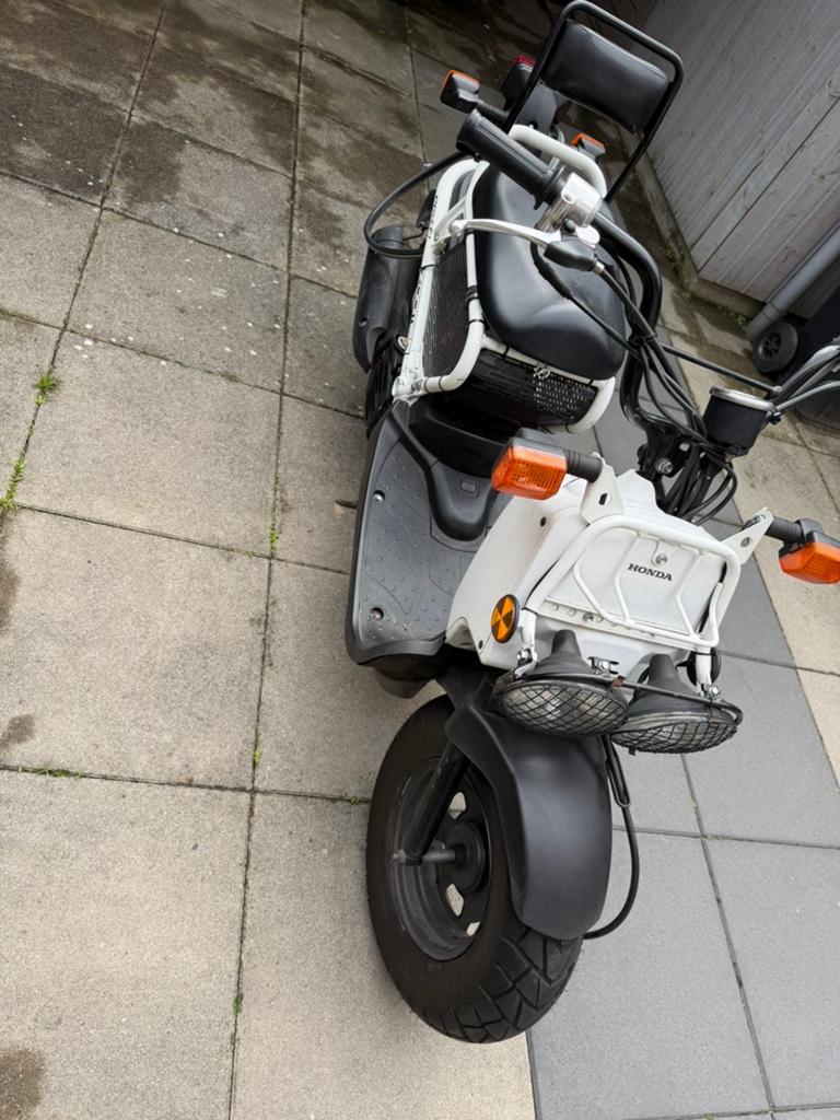 Honda NPS50 Zoomer uit 2012 - 25 km/u - Benzine, Ophalen, Gebruikt, Maximaal 45 km/u, Overige modellen
