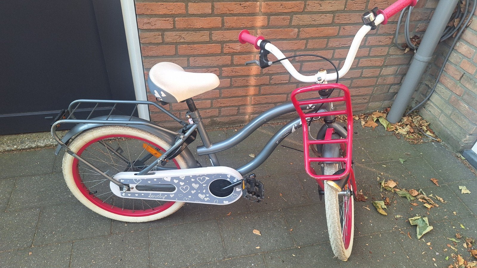 Kinderfiets 20 inch met voordrager en terugtraprem, Ophalen, Gebruikt, Terugtraprem, 20 inch