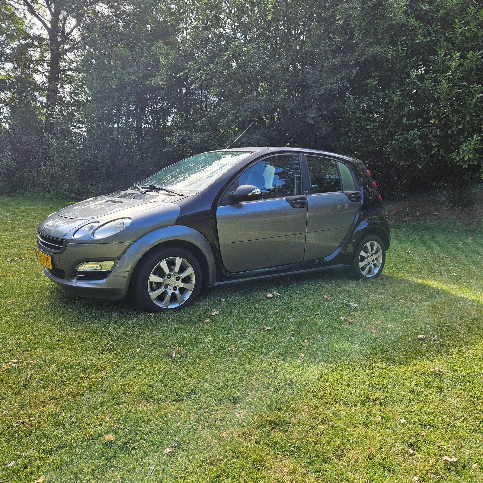 Smart smart Forfour