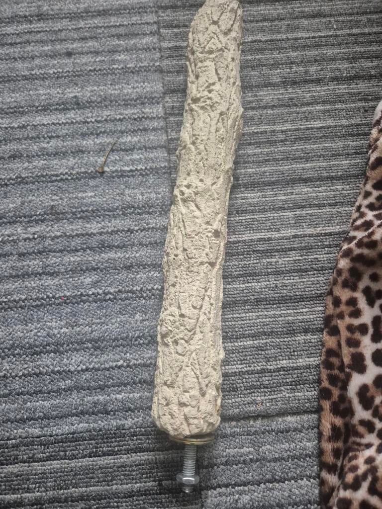 Schuurstok papagaai, Dieren en Toebehoren, Ophalen of Verzenden