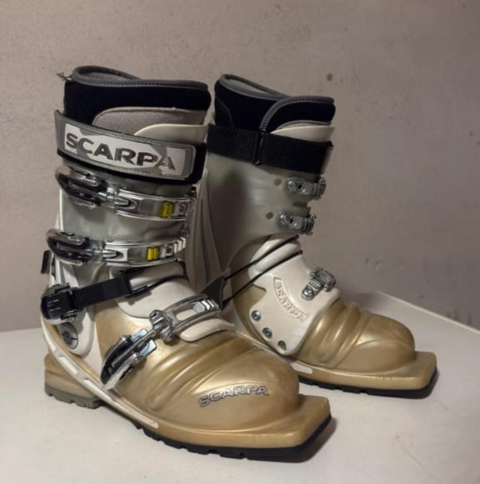 Telemarkschoenen 75mm, schoenmaat 39,5, Scarpa T1-250, Overige merken, 160 tot 180 cm, Gebruikt, Schoenen