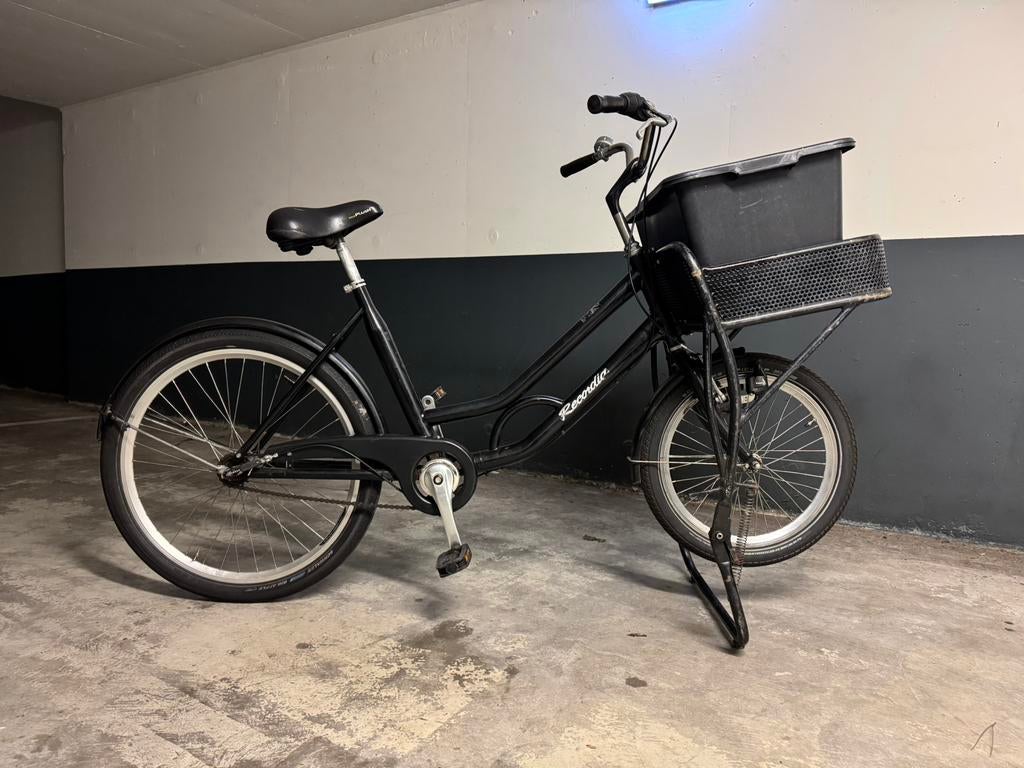 Supersterke hondenfiets bakfiets transportfiets cargobike, Fietsen en Brommers, Fietsen | Bakfietsen, Ophalen, Zo goed als nieuw