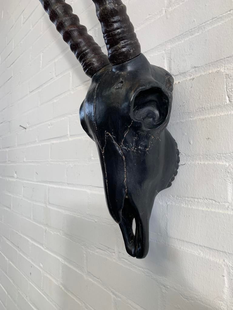decoratieve gemsbok-schedel (Oryx gazella) in het zwart, Ophalen of Verzenden