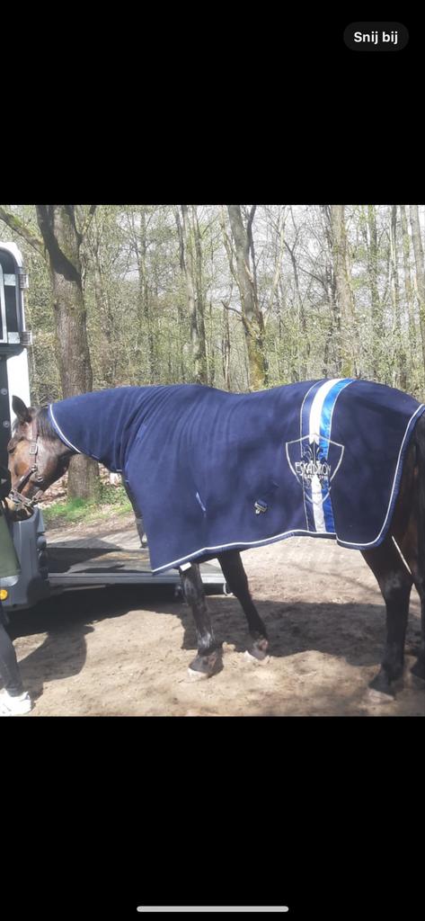 Zweetdeken eskadron maat 195, Dieren en Toebehoren, Ophalen of Verzenden, Zo goed als nieuw, Deken