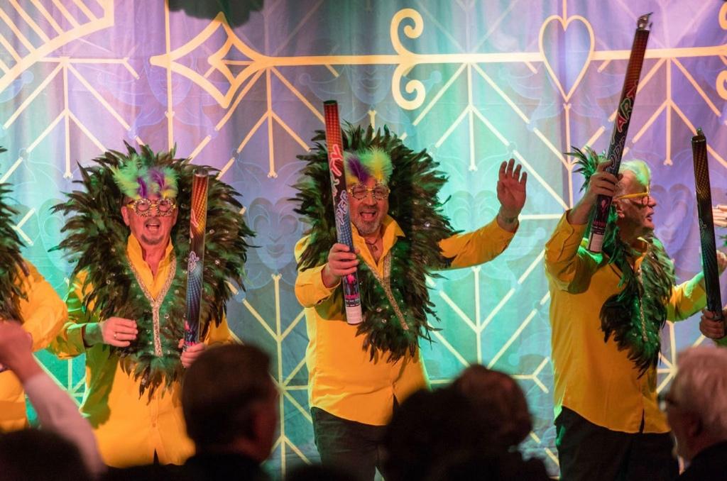 carnavals kleding Braziliaanse verven en blouse, Ophalen, Zo goed als nieuw, Carnaval, Kleding