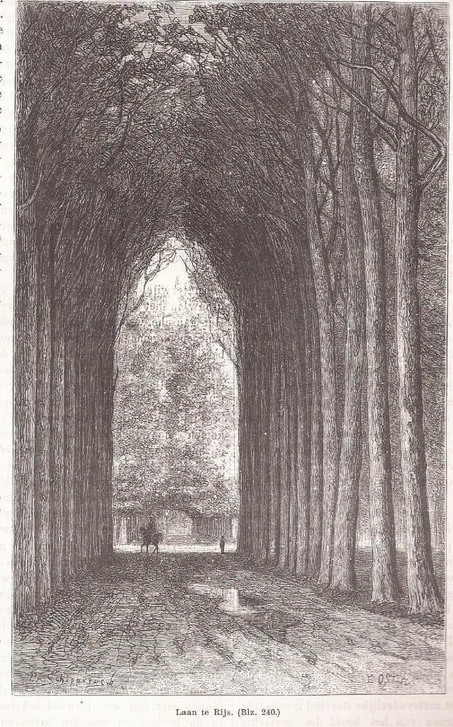 Rijs. Laan te Rijs ca. 1880, Ophalen of Verzenden