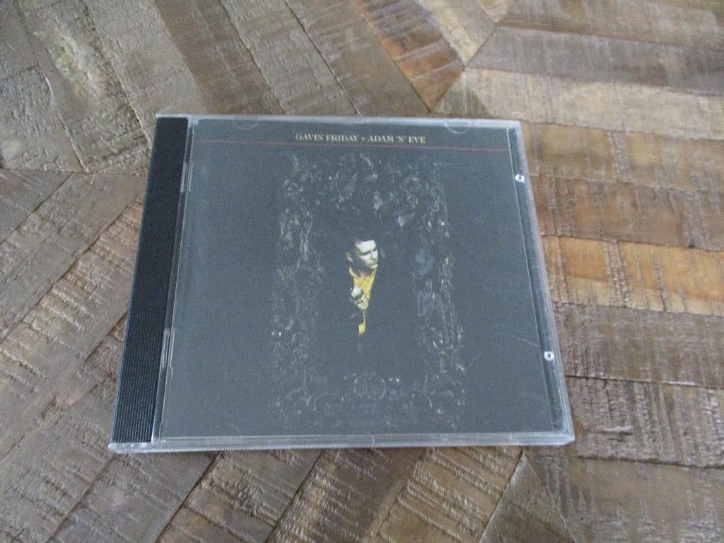 Gavin Friday - Adam 'N' Eve, Ophalen of Verzenden, Zo goed als nieuw