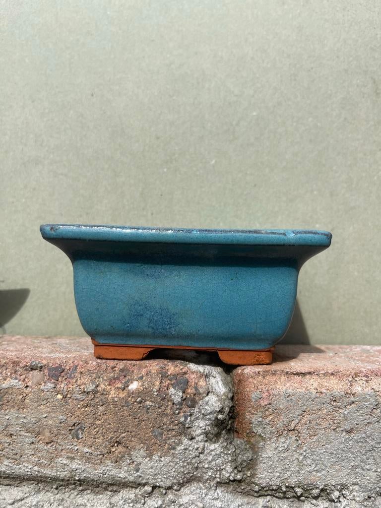 Diverse Bonsai Bakjes - Keramiek en Steen, Overige materialen, Gebruikt, Minder dan 30 cm, Verzenden
