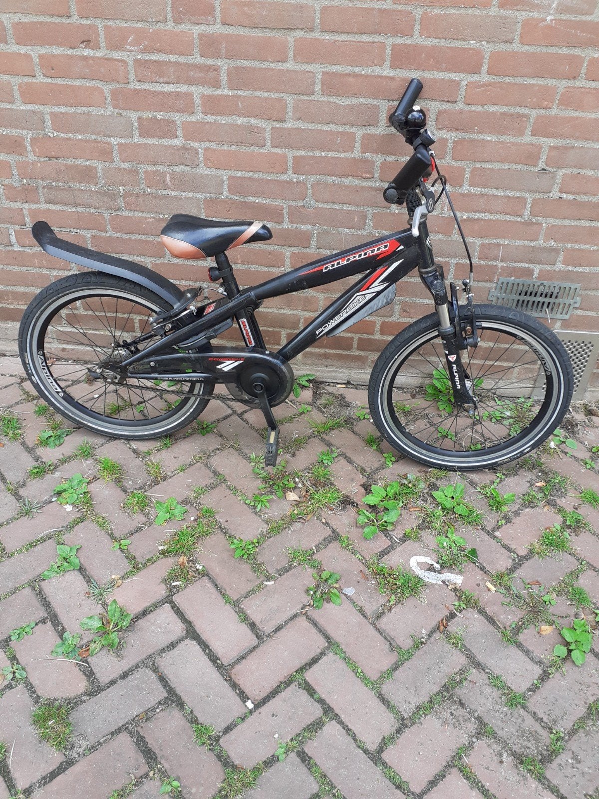 Alpina powerbike 20 inch kinderfiets met voorvorkvering, Ophalen, Terugtraprem, Staal, 20 tot 24 inch