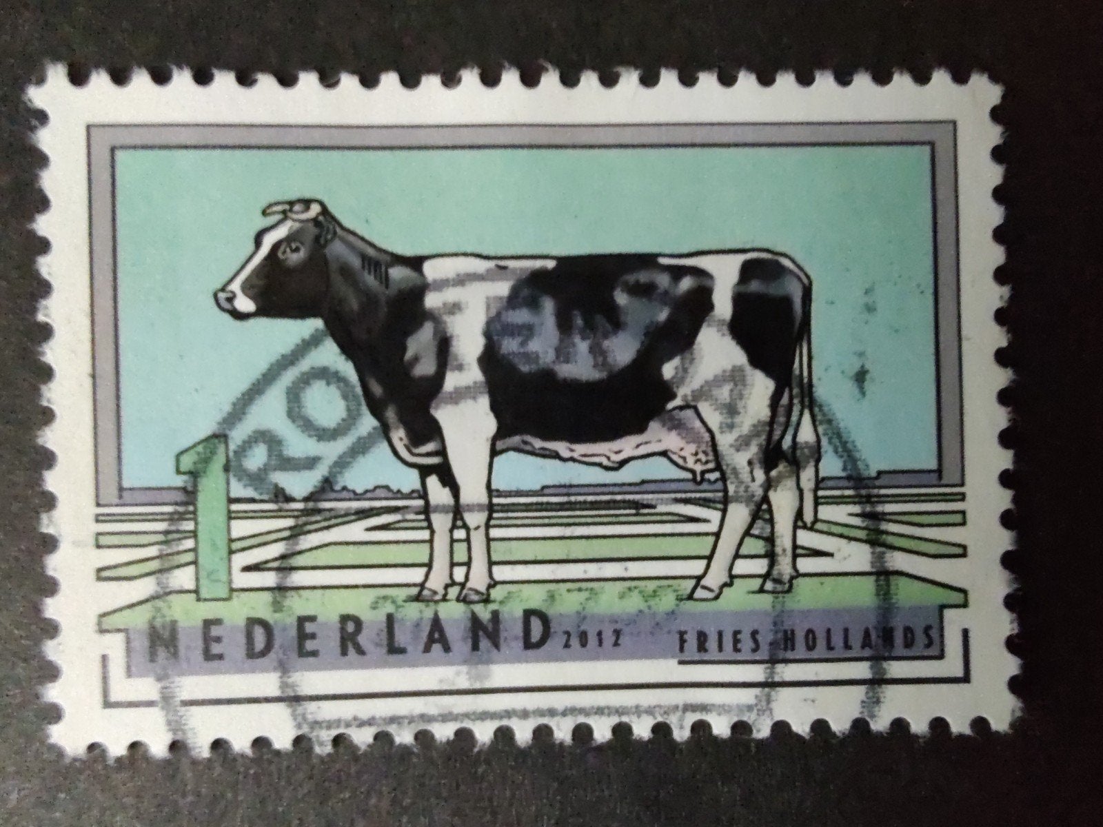 2975 fries-hollands 2012 nl runderrassen, Verzenden