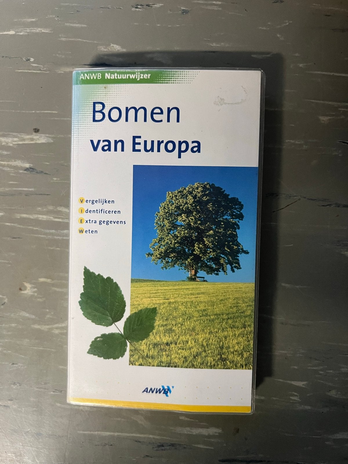 ANWB Natuurwijzer: Bomen van Europa, Boeken, Ophalen of Verzenden, Zo goed als nieuw, Bloemen, Planten en Bomen