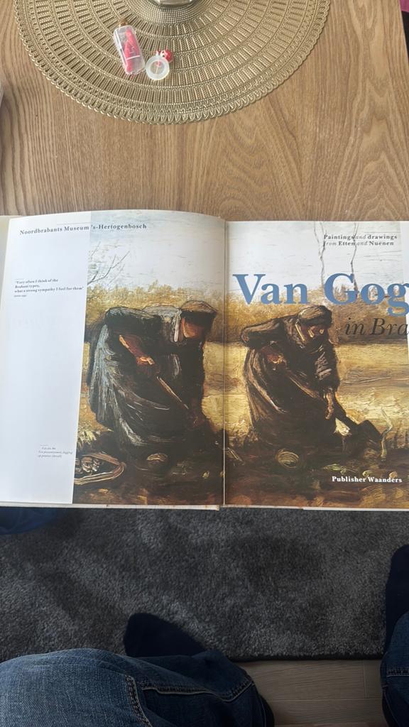 Van Gogh boek, Ophalen of Verzenden, Zo goed als nieuw