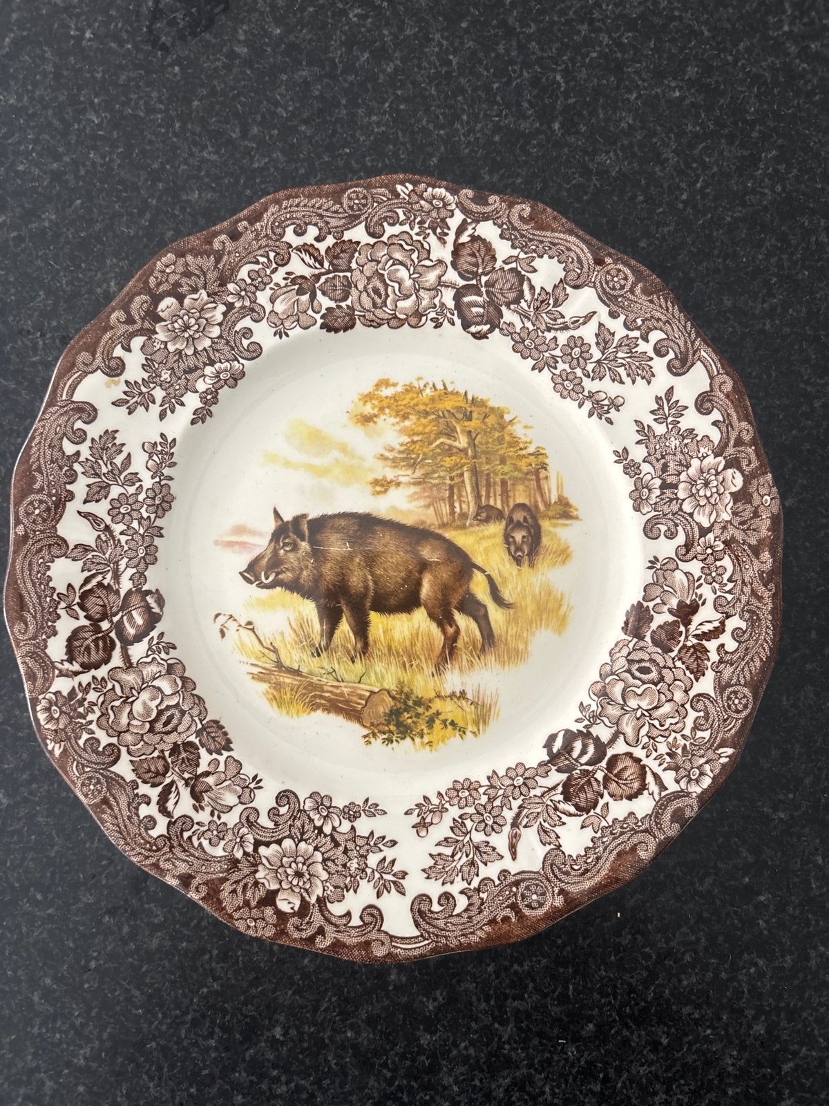 Vintage Palissy Game Series Wild Zwijn Decoratief Bord, Ophalen of Verzenden