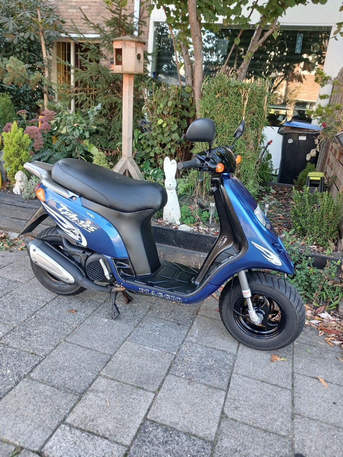 piaggio tph typhoon 125cc 2t duits, Ophalen, Gebruikt, Tweetakt, Piaggio