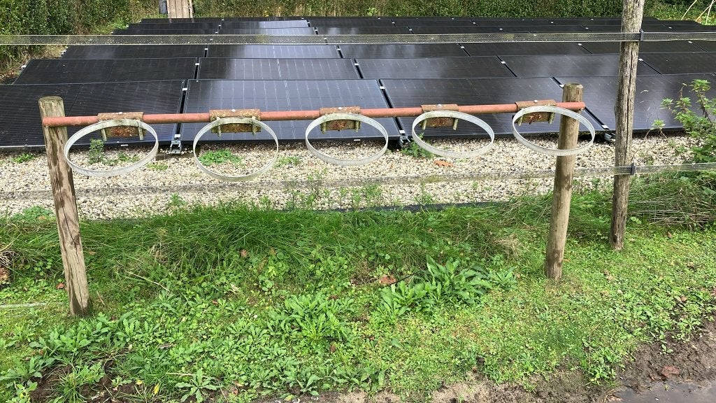Minaralen bar @paddock verrijking, Dieren en Toebehoren
