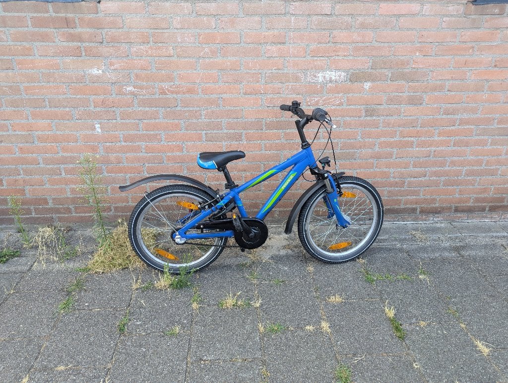 Pegasus 20 inch kinderfiets, Ophalen, Gebruikt, 20 inch of meer, Pegasus
