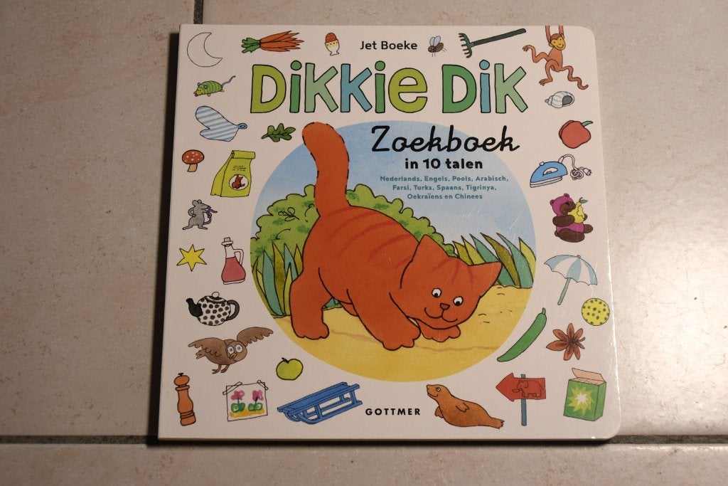Dikkie Dik Zoekboek in 10 talen, Boeken, Ophalen of Verzenden, Zo goed als nieuw, 2 tot 3 jaar