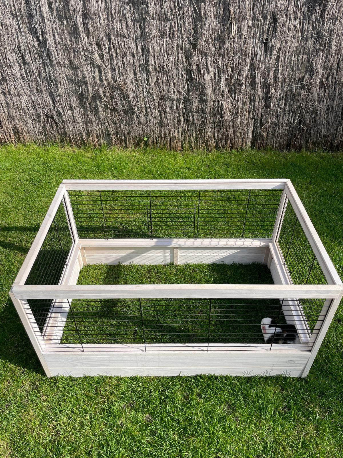 Cavia/ konijnenhok, Dieren en Toebehoren, Ophalen of Verzenden