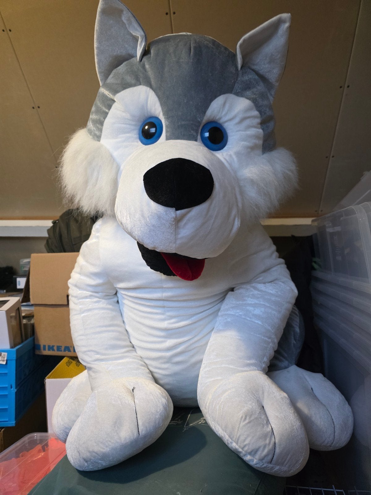GRATIS Grote Zepplin Husky knuffel 150cm, Ophalen, Overige merken, Grijs, Hond