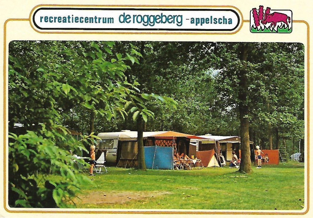 Appelscha- -De Roggeberg., Ophalen of Verzenden, 1980 tot heden, Gelopen, Friesland