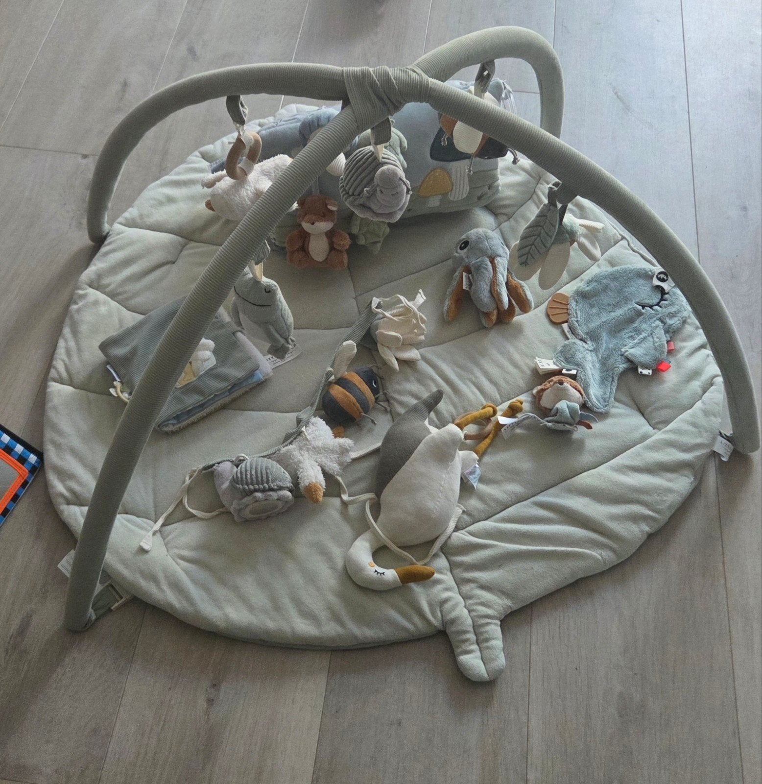 Grote set Little Dutch, Trixie en Done by Dear babyspeelgoed, Ophalen, Zo goed als nieuw, Overige typen, Met geluid