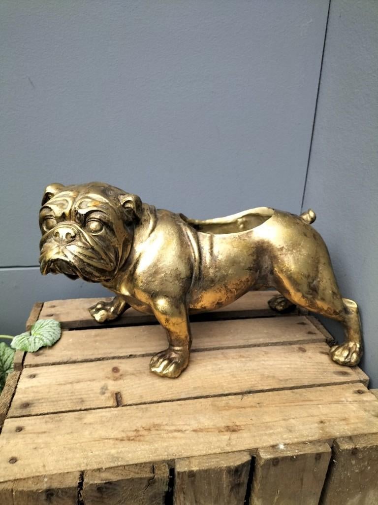 Nieuwe HD Living Polyresin bulldog planter - 34cm -50% SALE, Na, Na, Rond, Nieuw