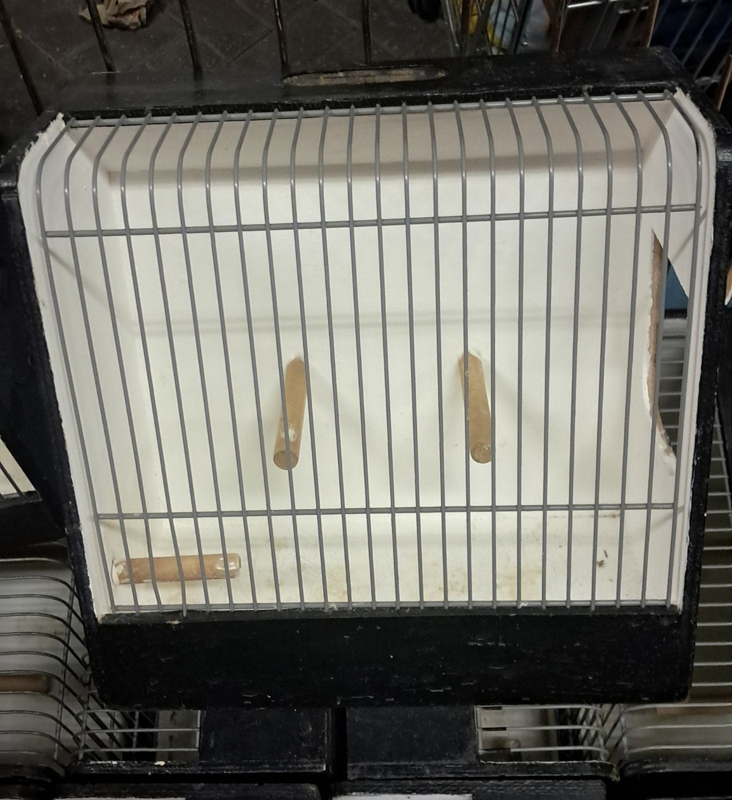 tentoonstelling kastjes voor vogels met extra's, Dieren en Toebehoren, Ophalen, Gebruikt, Hout, Overige typen