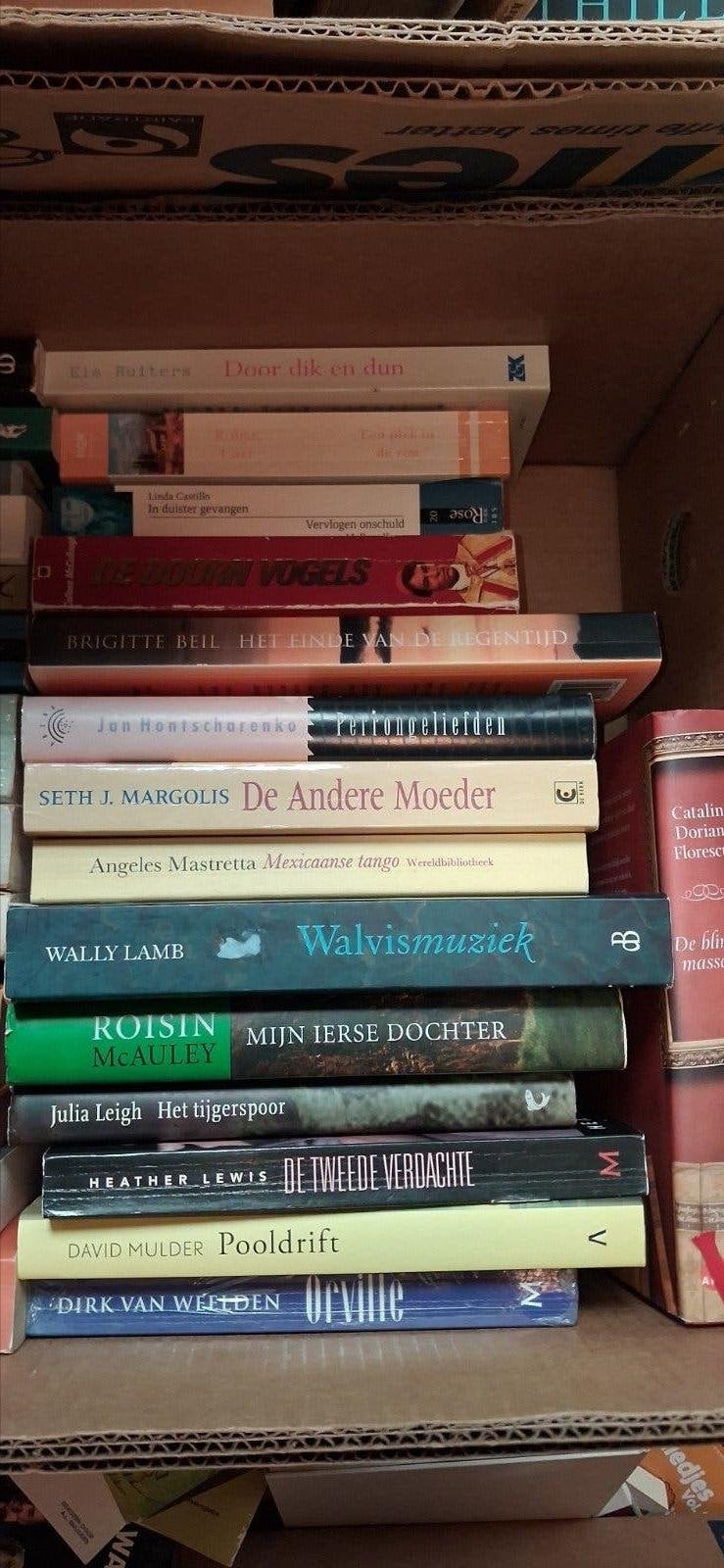 Diverse boeken: Fictie, thrillers en meer, Boeken, Ophalen of Verzenden, Gelezen, Diverse auteurs, Nederland