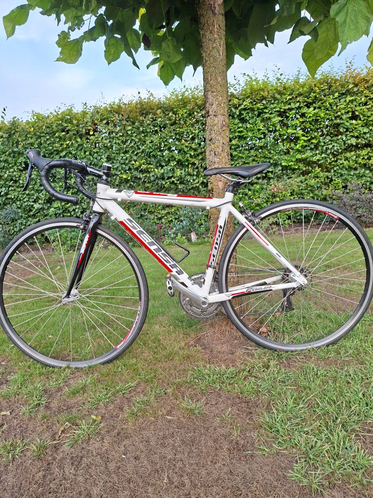 Sensa racefiets - Zephyr - Wit/Rood - Gebruikt, 28 inch, Gebruikt, Aluminium, Meer dan 20 versnellingen